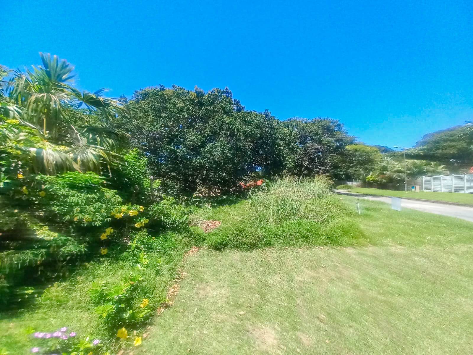 1159 m² Land available in Pennington photo number 1