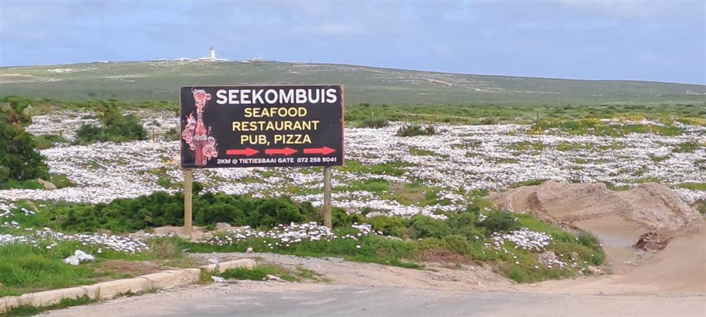 656 m² Land available in Paternoster photo number 5