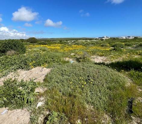 656 m² Land available in Paternoster photo number 16