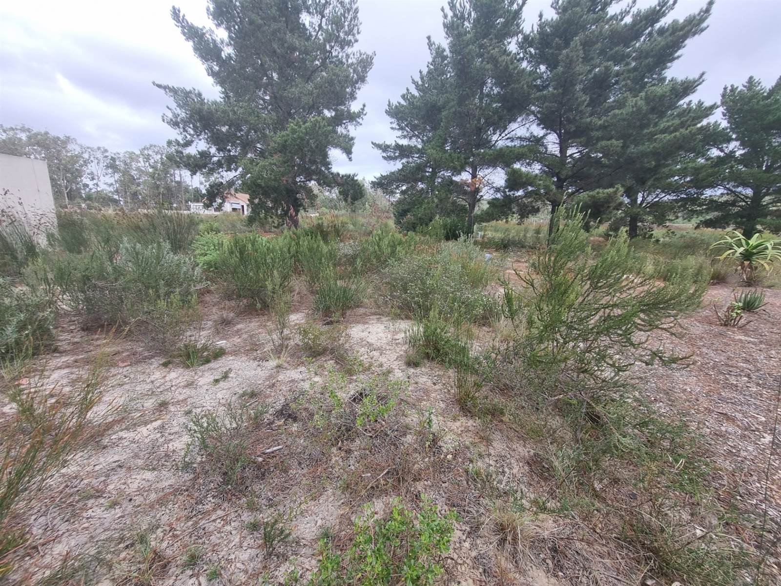 267 m² Land available in Albertinia photo number 3