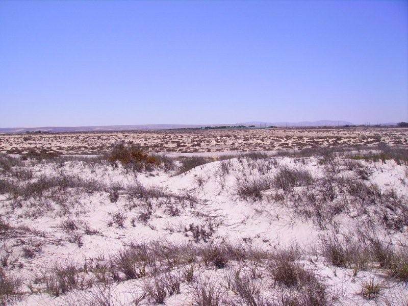 1121 m² Land available in Port Nolloth photo number 5