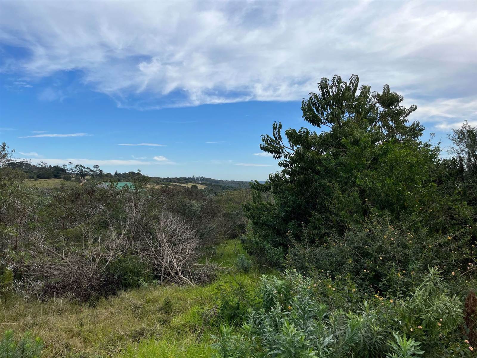 2520 m² Land available in Bathurst and Surrounds photo number 1