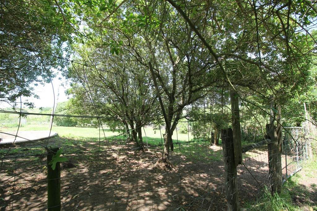 2520 m² Land available in Bathurst and Surrounds photo number 4