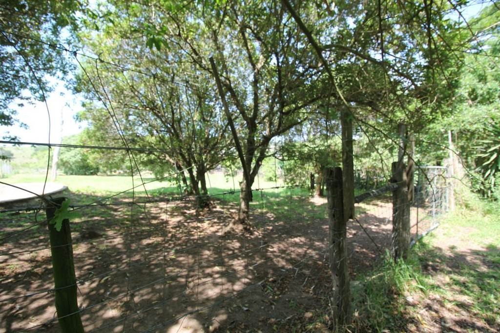 2520 m² Land available in Bathurst and Surrounds photo number 6