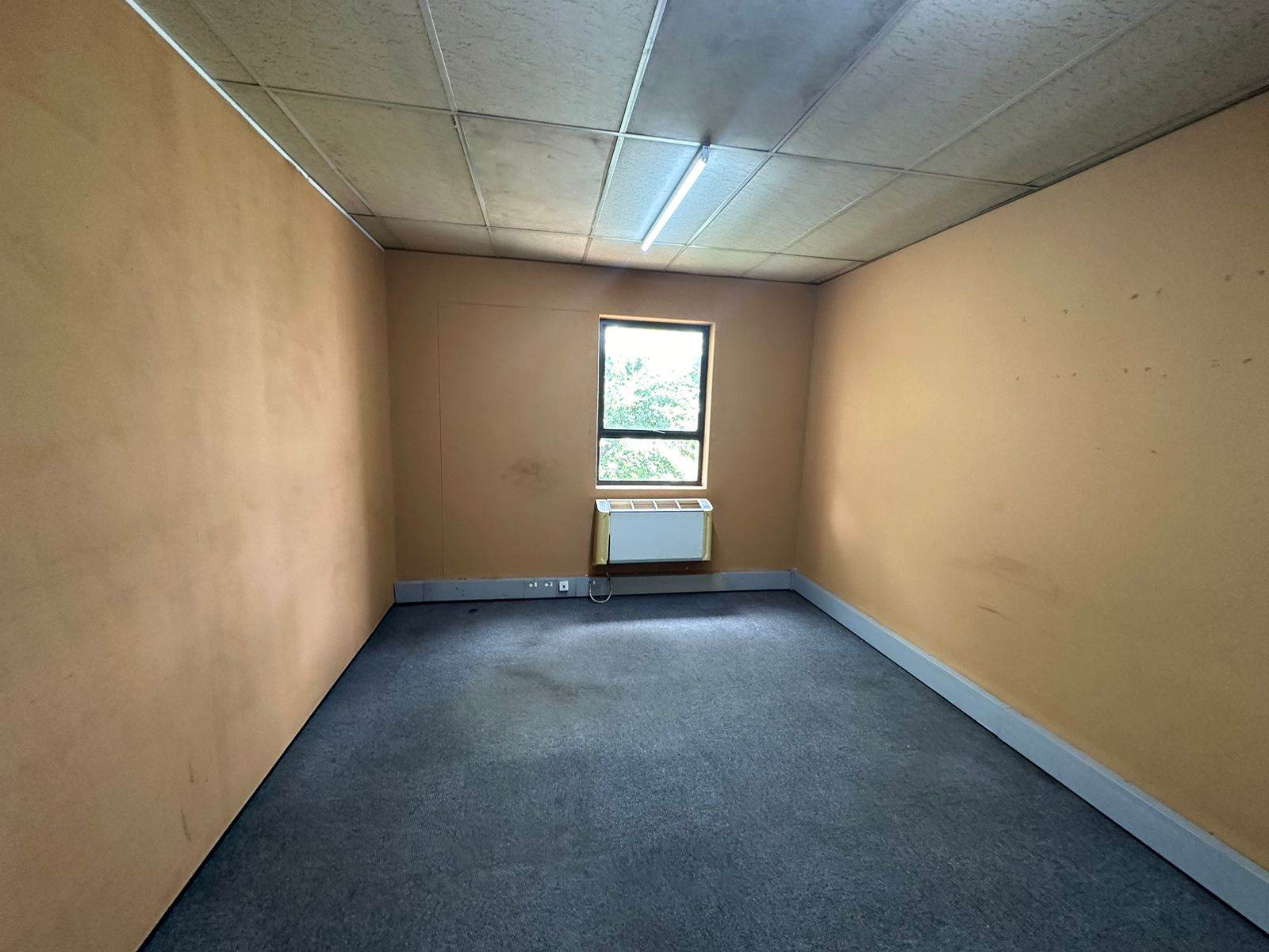 15  m² Commercial space in New Redruth photo number 8