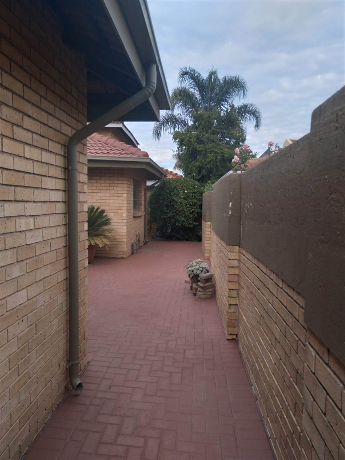 3 Bed Cluster in Beyers Park photo number 14