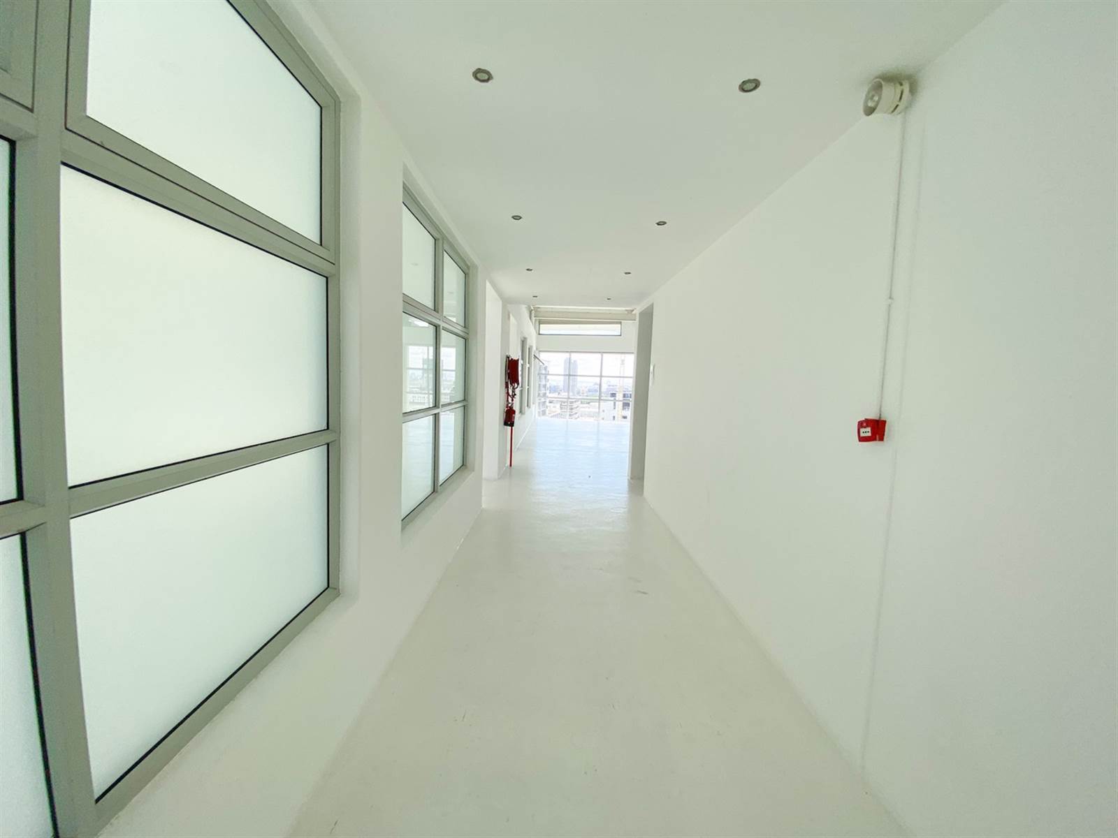 800  m² Commercial space in Gardens photo number 15