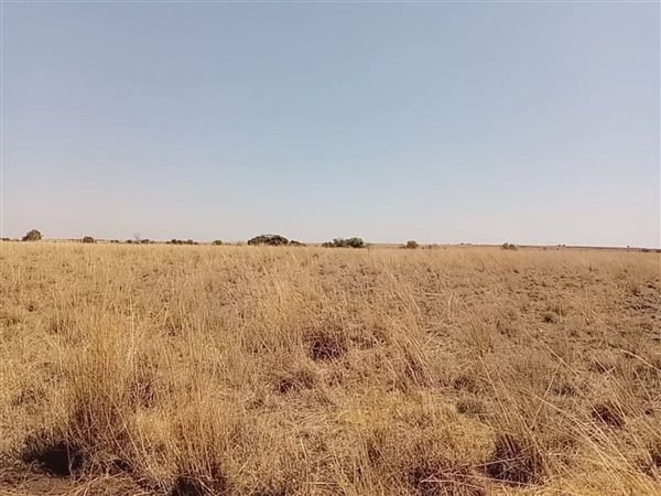 Farm