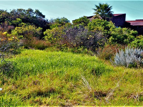 1008 m² Land available in Mossel Bay