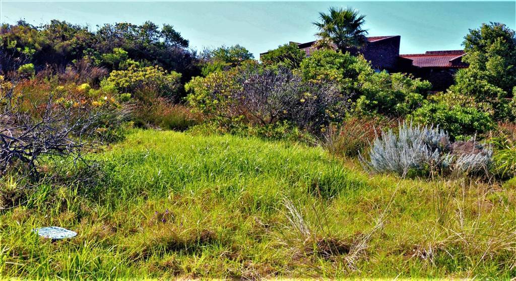 1008 m² Land available in Mossel Bay photo number 1