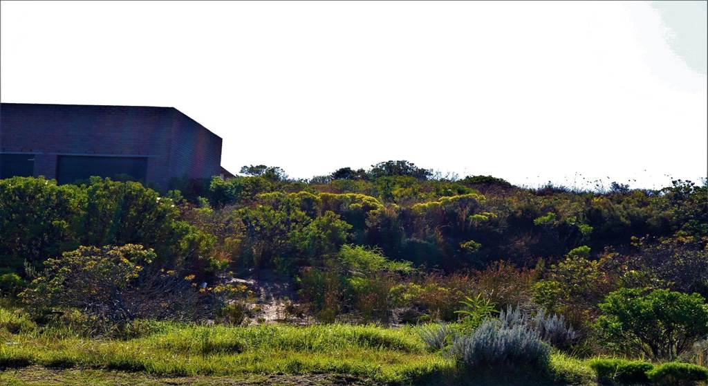 1008 m² Land available in Mossel Bay photo number 8