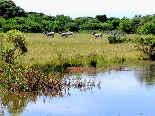 55 ha Farm