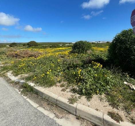 422 m² Land available in Paternoster photo number 1