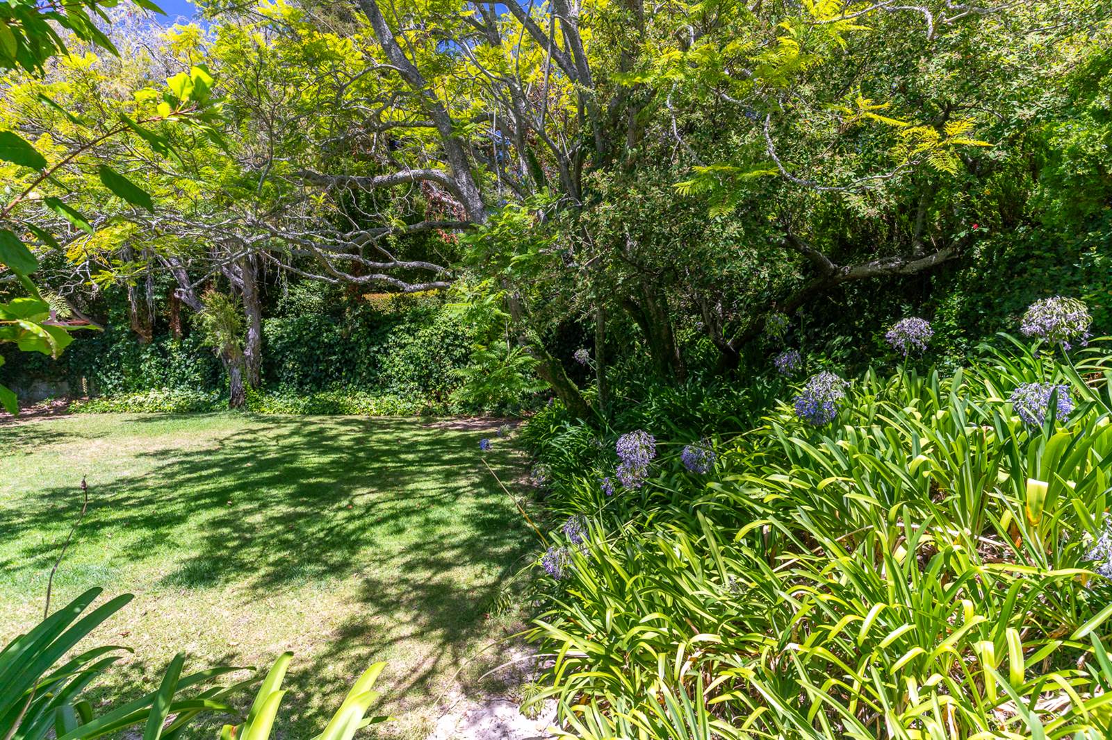 626 m² Land available in Claremont Upper photo number 3