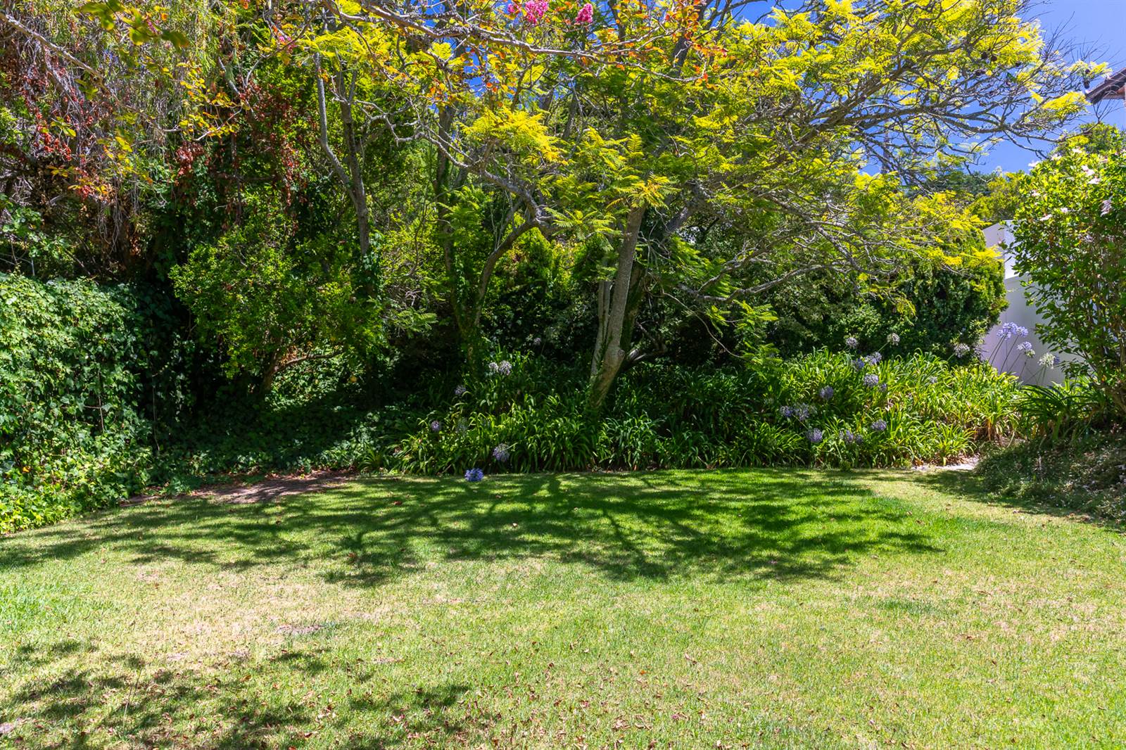 626 m² Land available in Claremont Upper photo number 5