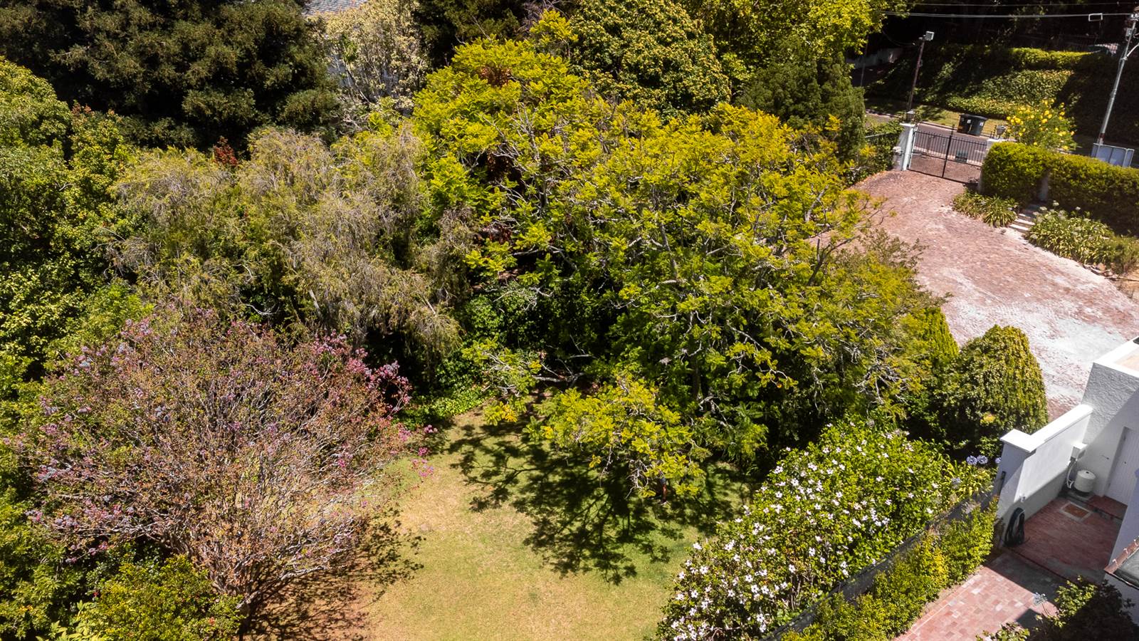 626 m² Land available in Claremont Upper photo number 8