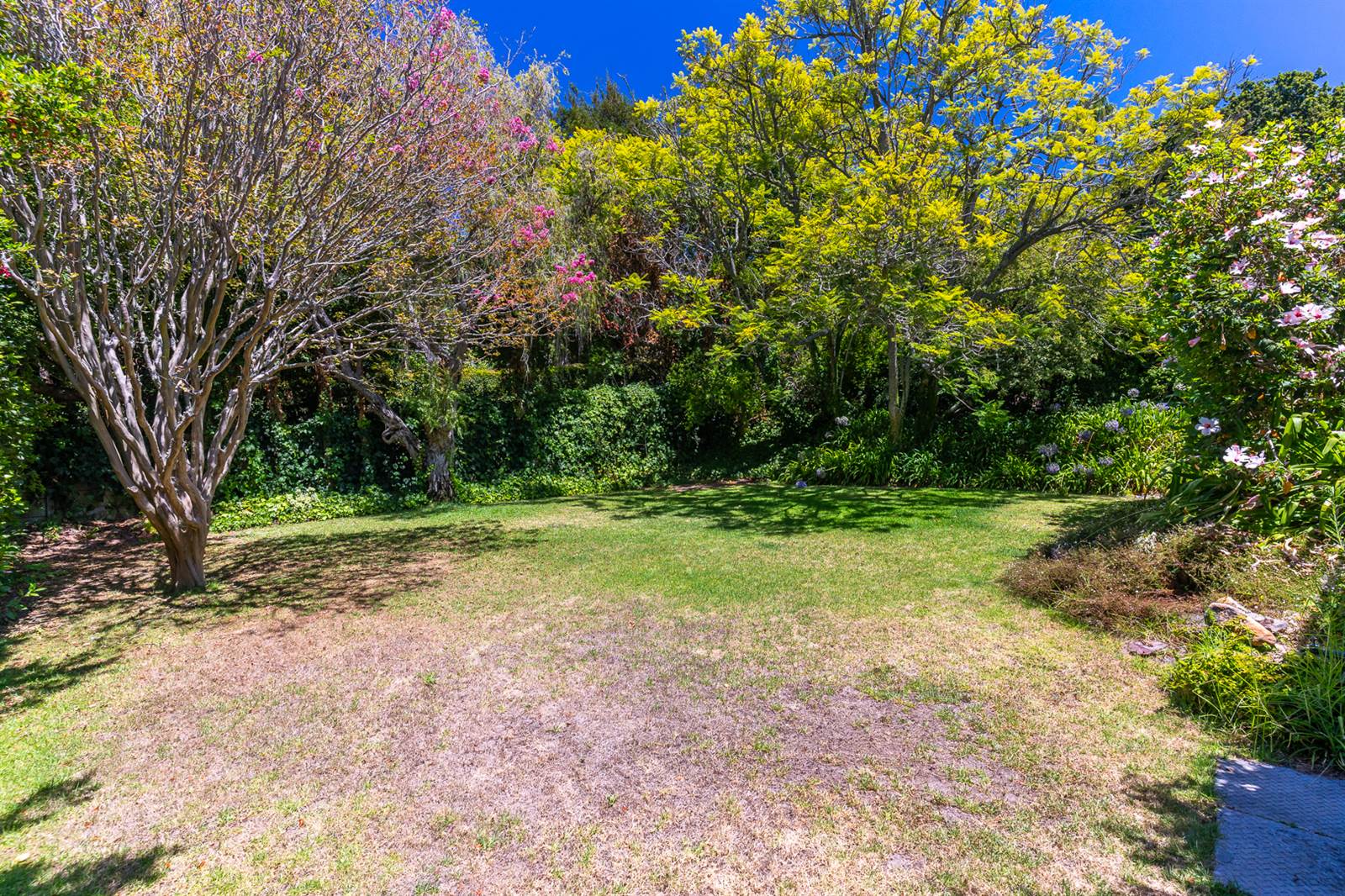 626 m² Land available in Claremont Upper photo number 4