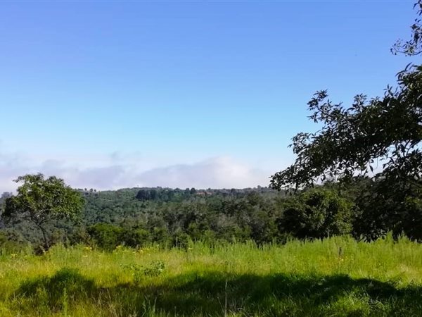4.6 ha Land available in Hoekwil