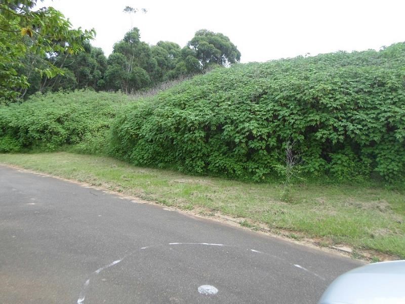 1471 m² Land available in Umkomaas photo number 4