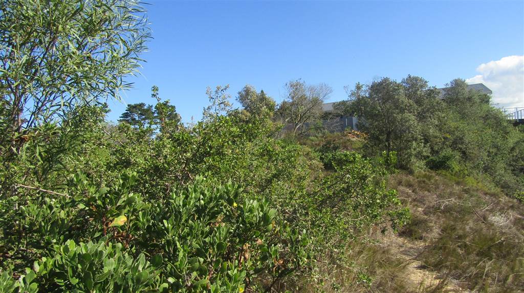 1908 m² Land available in Sedgefield photo number 19