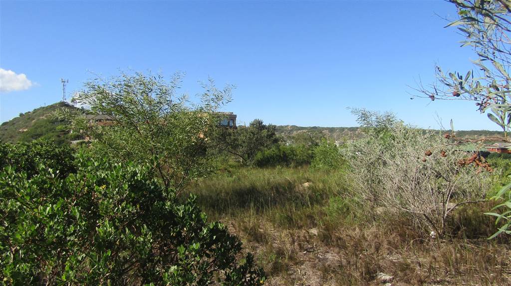 1908 m² Land available in Sedgefield photo number 18