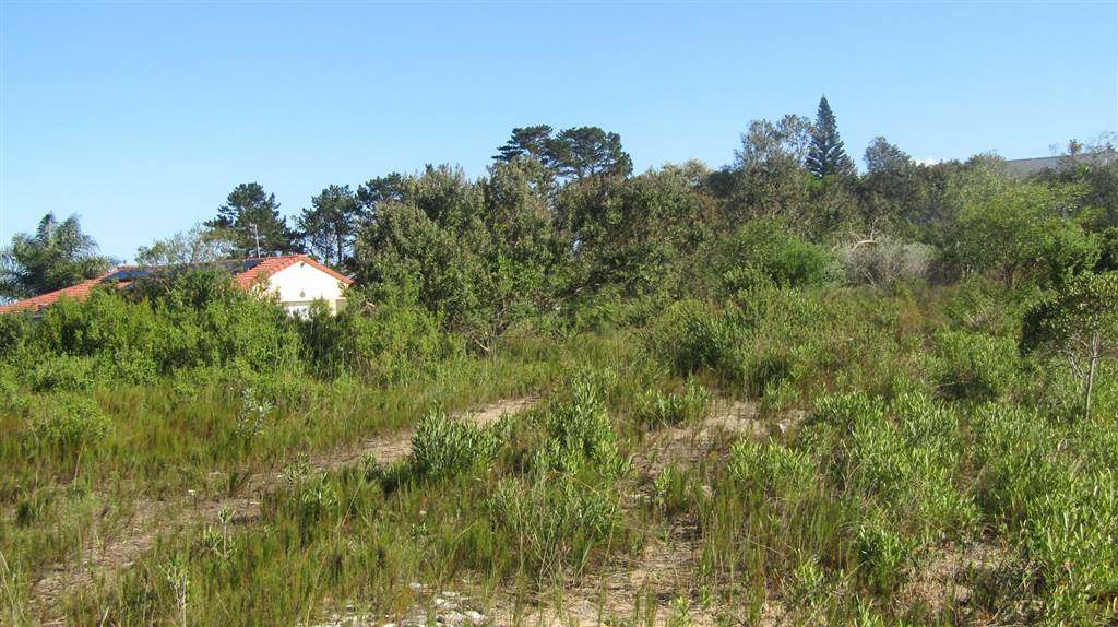 1908 m² Land available in Sedgefield photo number 26