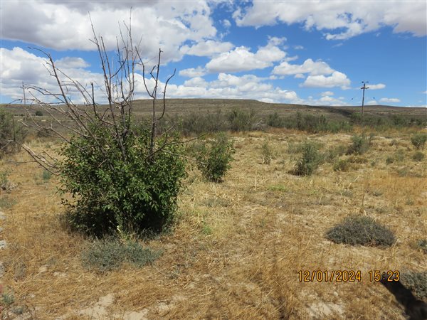 1643 m² Land available in Sutherland