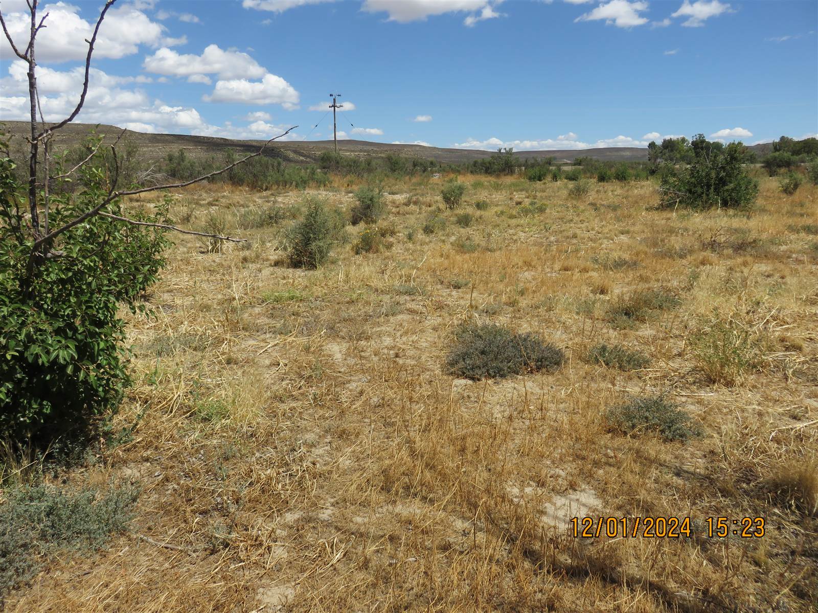1643 m² Land available in Sutherland photo number 2