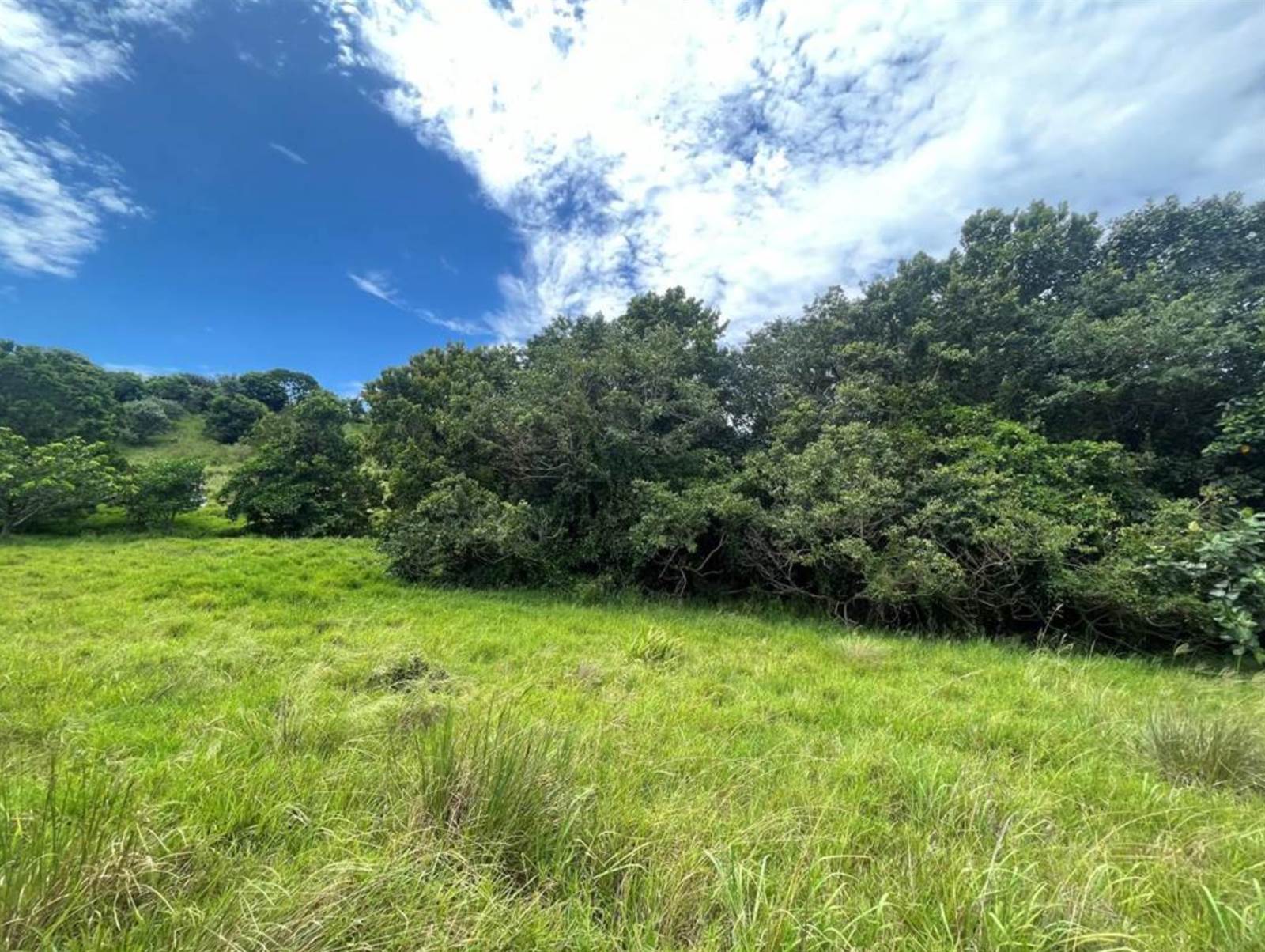 1878 m² Land available in Ballito photo number 6
