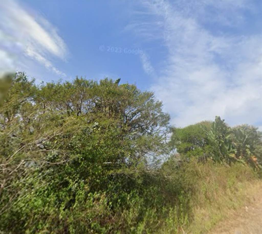 3209 m² Land available in Palm Beach photo number 2