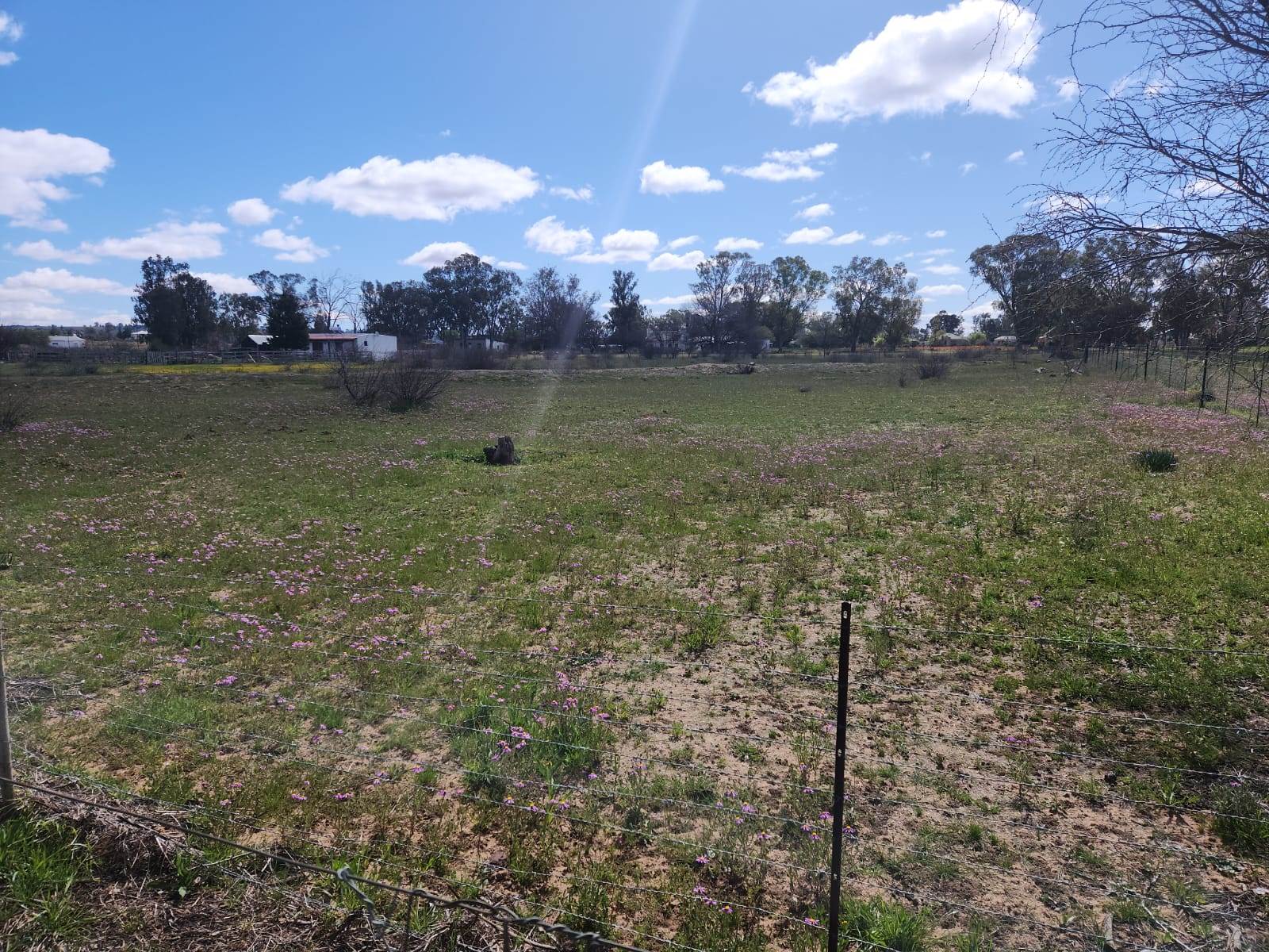 4457 m² Land available in Nieuwoudtville photo number 8