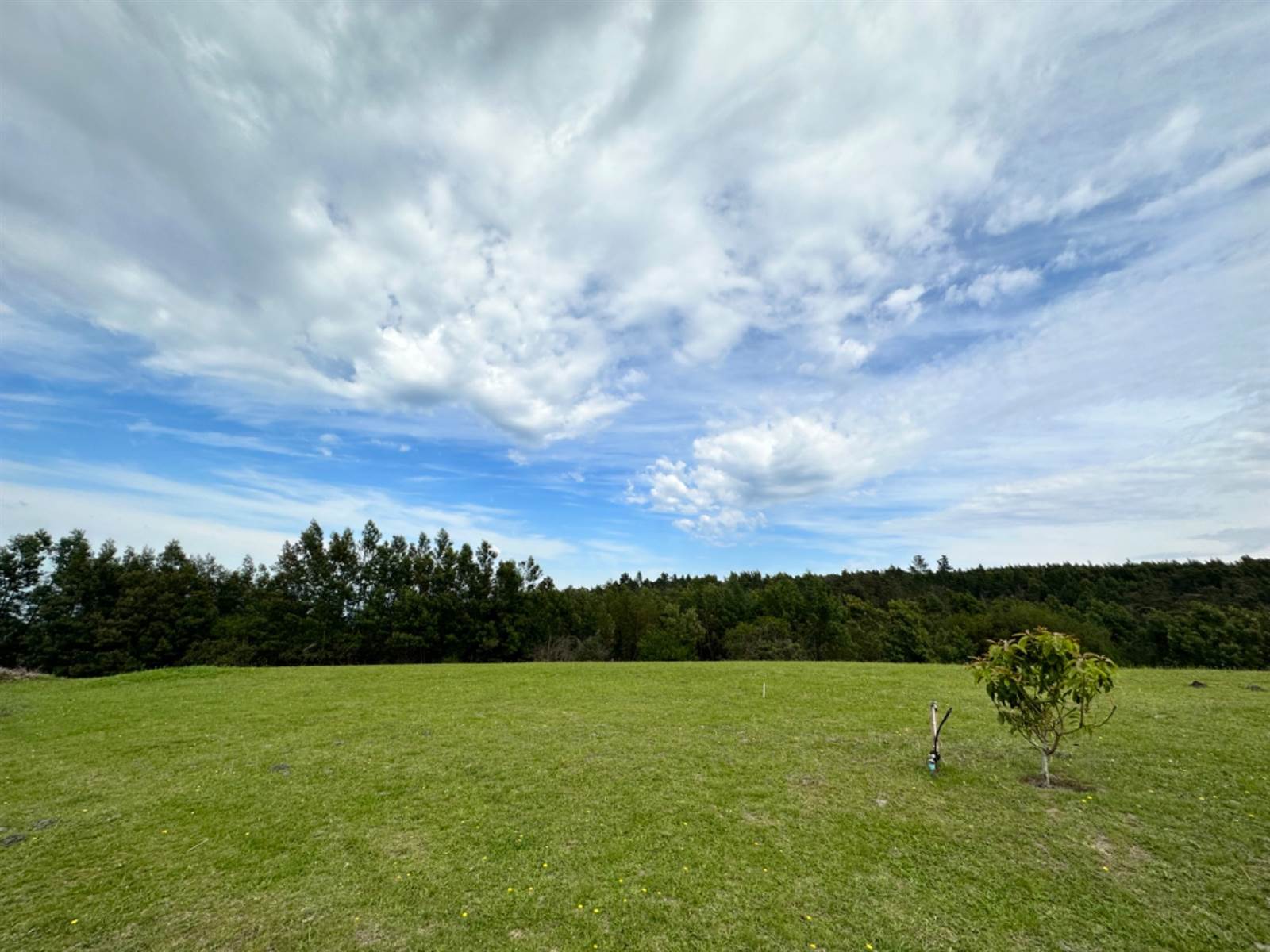 900 m² Land available in Eastford photo number 16