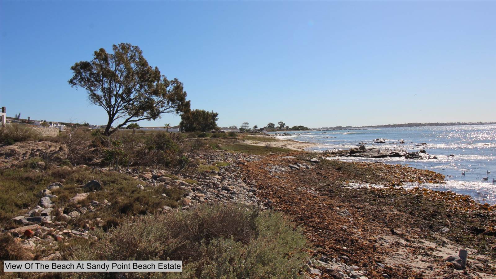 391 m² Land available in Sandy Point photo number 17