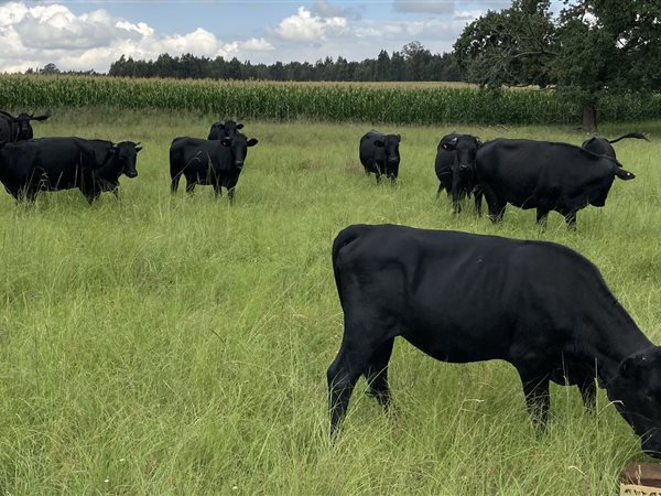 1 100 ha Farm
