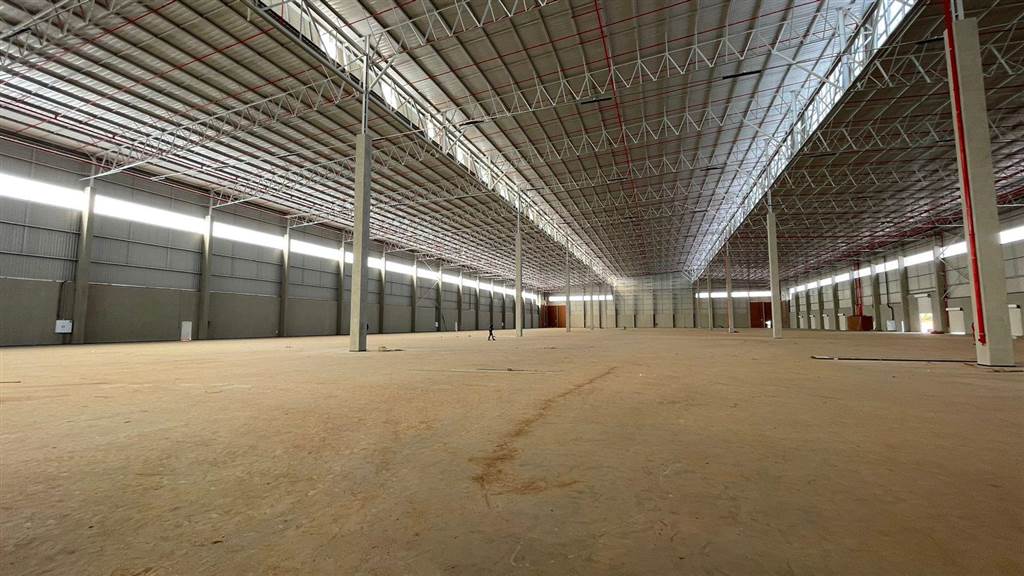 7233  m² Industrial space in Louwlardia photo number 4