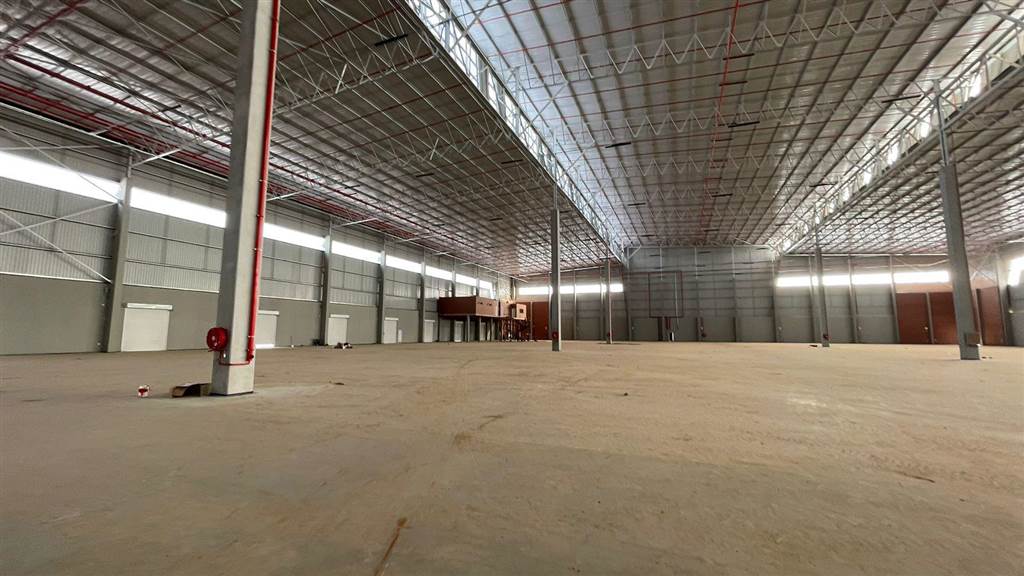 7233  m² Industrial space in Louwlardia photo number 6