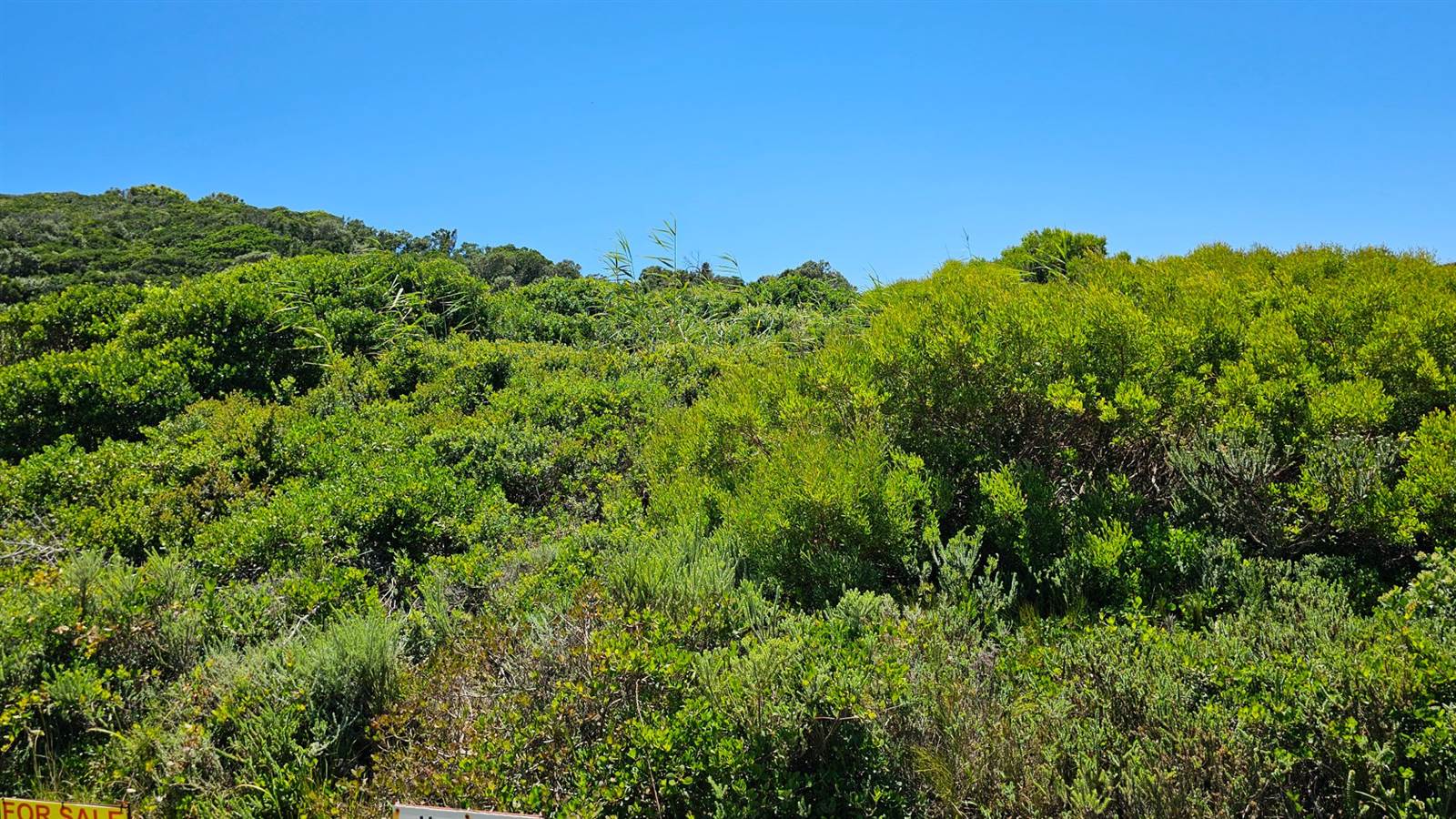 639 m² Land available in Oyster Bay photo number 14