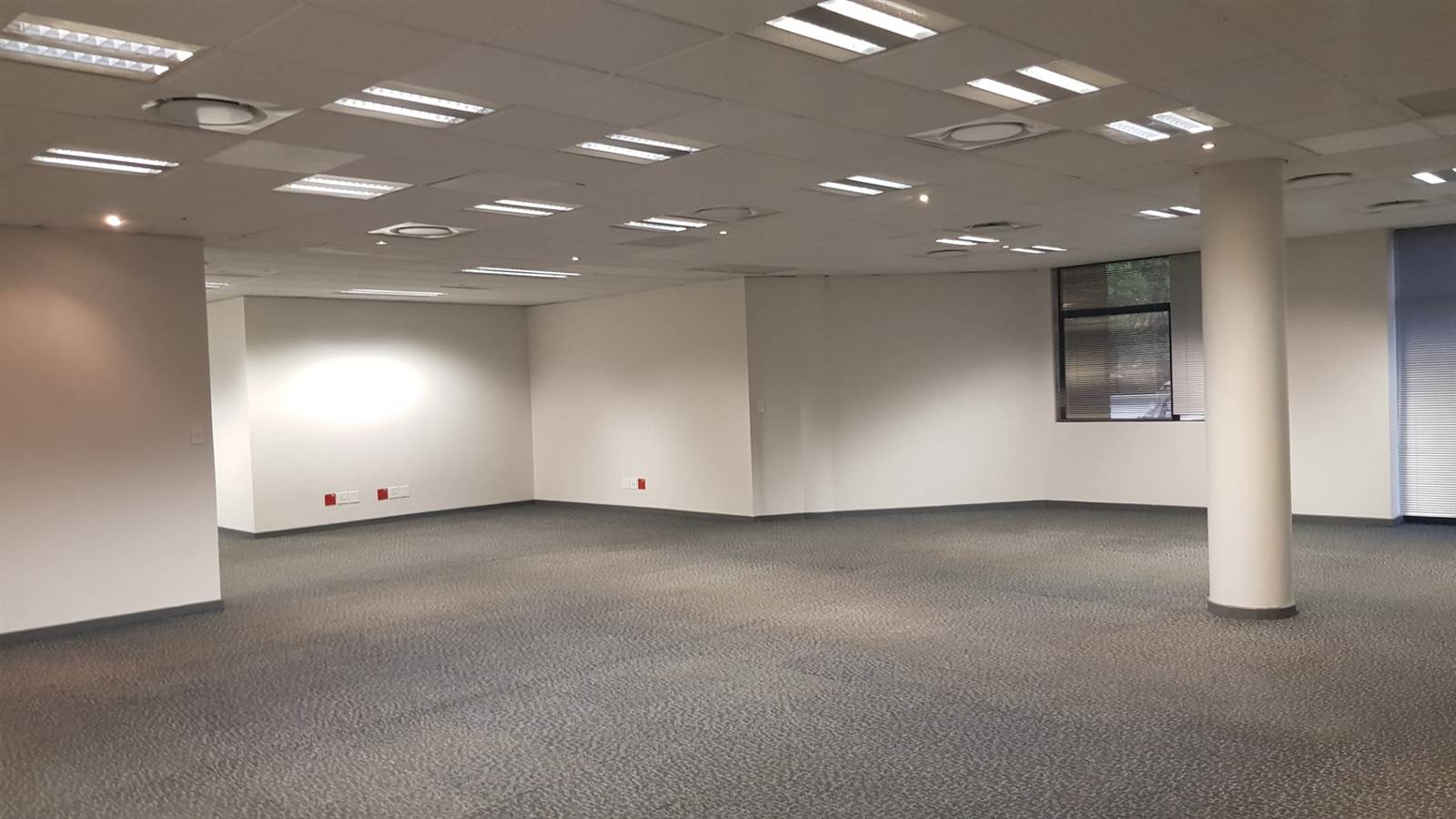 245  m² Commercial space in Parktown photo number 11