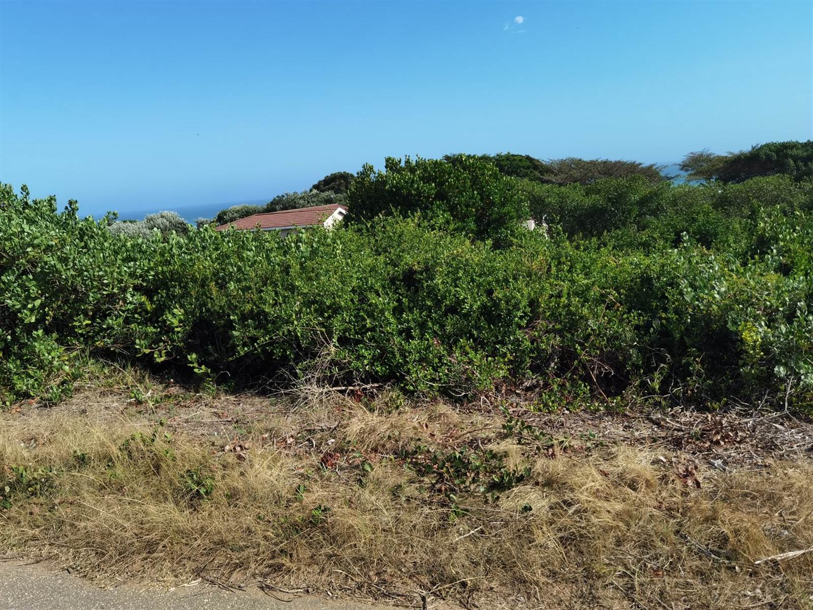 782 m² Land available in Oyster Bay photo number 6