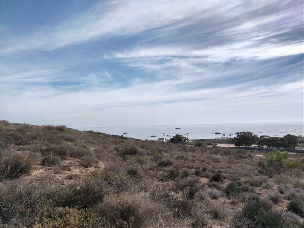 860 m² Land available in St Helena Views
