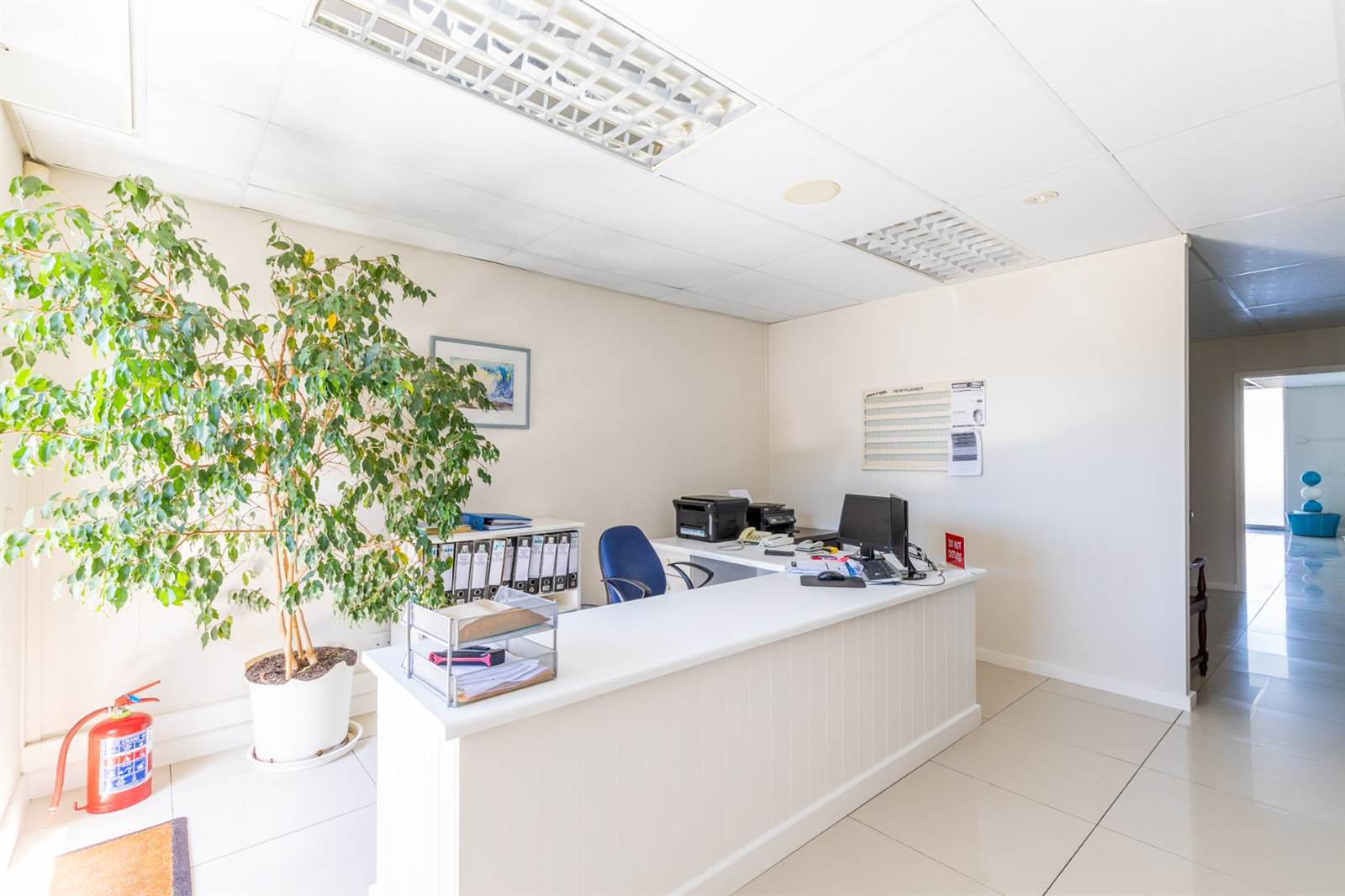 126  m² Office Space in Plettenberg Bay photo number 11