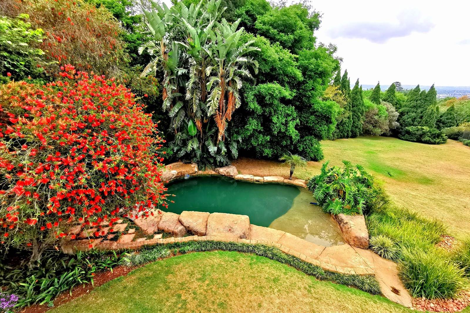 8000 m² Land available in Bryanston photo number 8