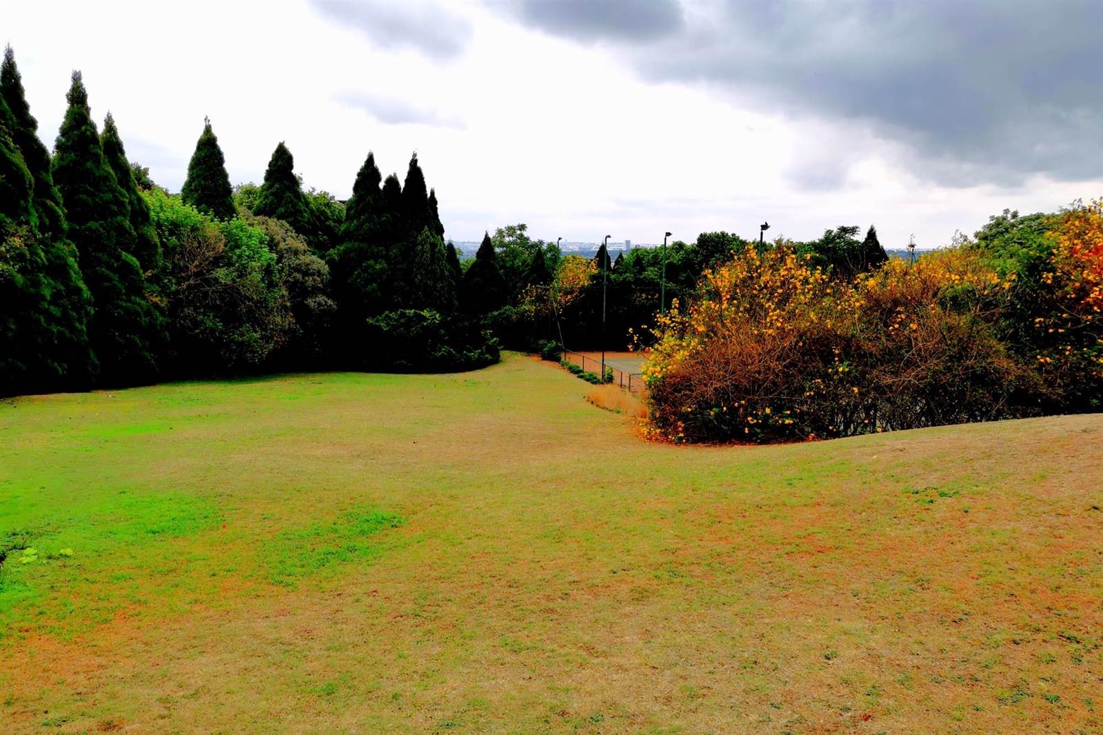 8000 m² Land available in Bryanston photo number 1