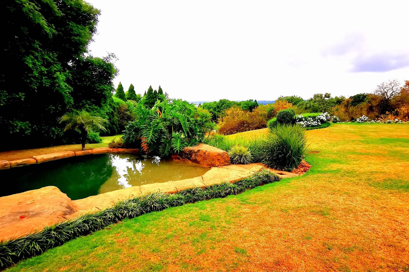 8000 m² Land available in Bryanston photo number 7