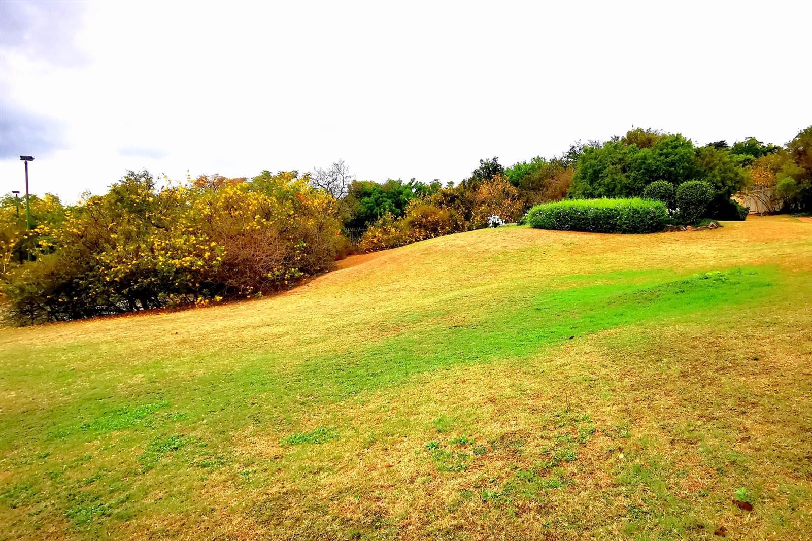 8000 m² Land available in Bryanston photo number 3