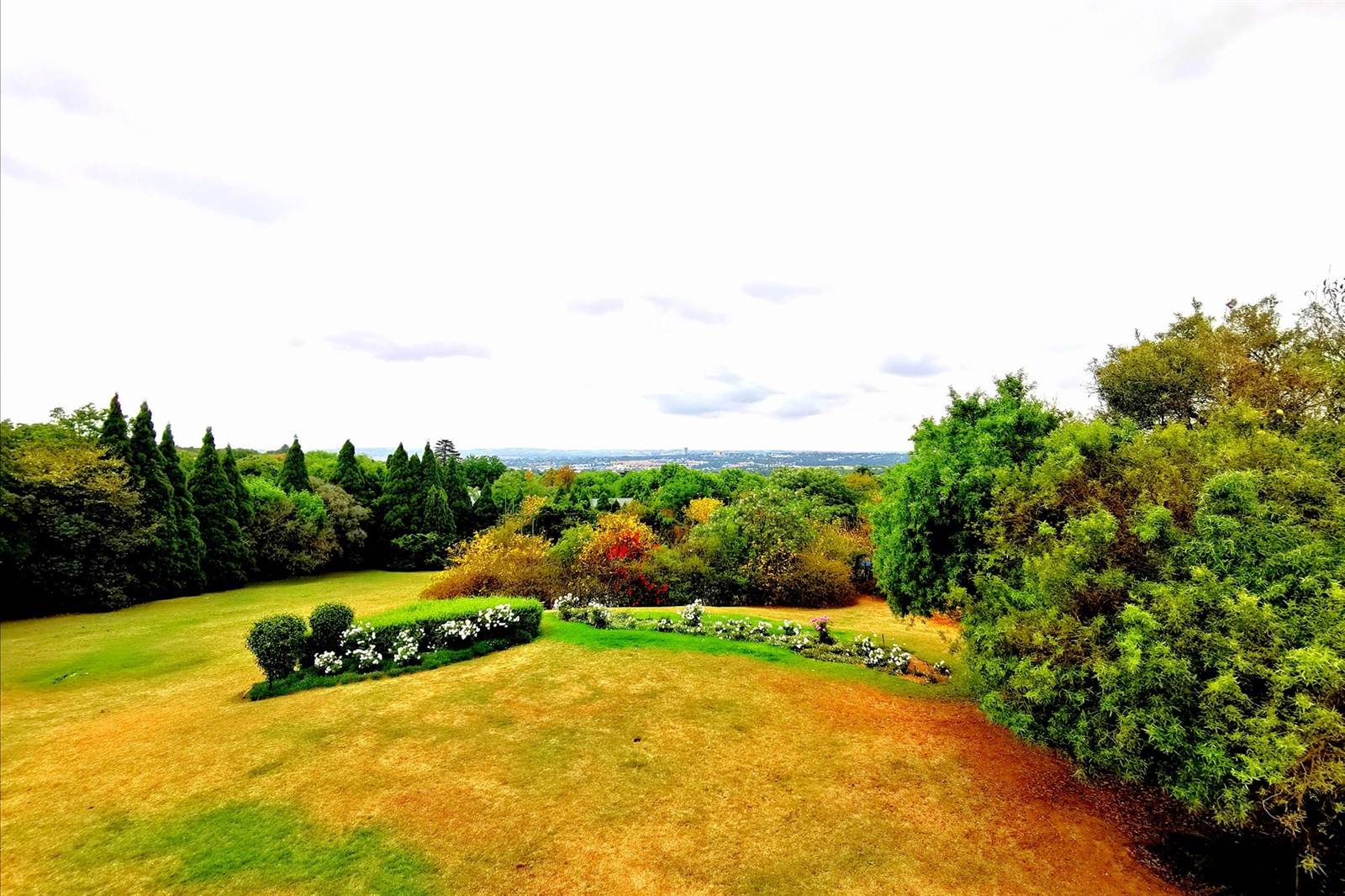 8000 m² Land available in Bryanston photo number 2