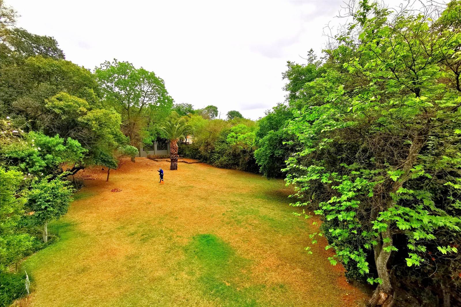 8000 m² Land available in Bryanston photo number 5