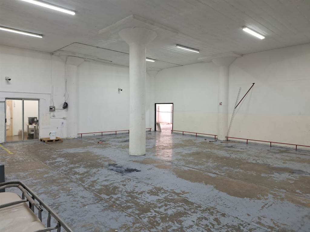 3020  m² Industrial space in Ophirton photo number 8