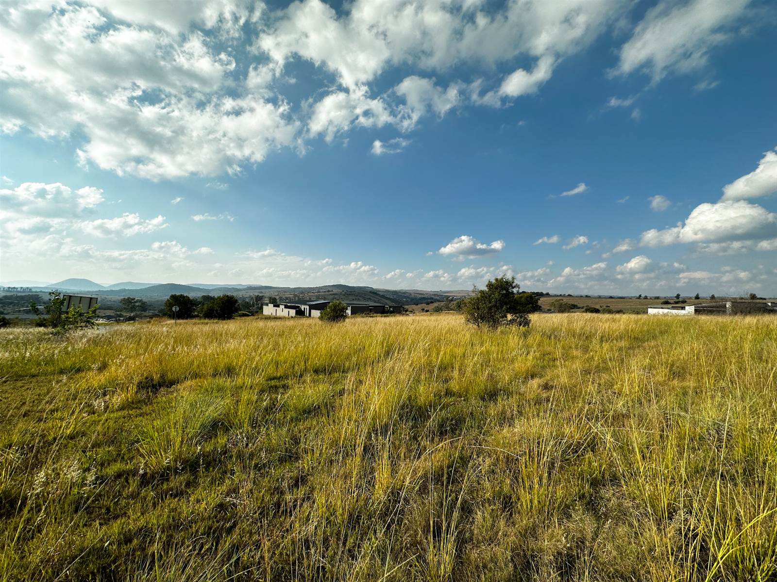 1962 m² Land available in Laezonia photo number 5