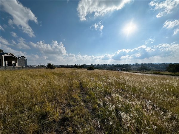 1962 m² Land available in Laezonia